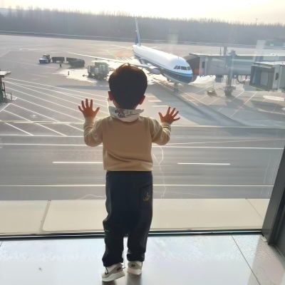 航空物流运输服务